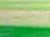 Light Green Variegated Color Chip